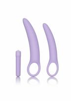CALEXOTICS Dr. Laura Berman Isabelle Set of 2 Silicone Dilators with Vibrator
