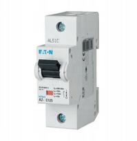 Automatinis pertraukiklis 1P D 100A 15kA AC AZ-D100 211826 | 211826 | 4015082118266