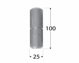 Vyris ZTK 25x100 mm metinamas plieninis