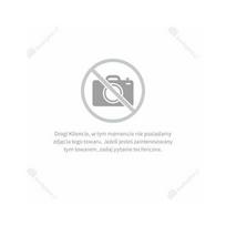 Apator Rozłącznik izolacyjny bezpiecznikowy RBK 1 pro-SD-V 60 zacisk V-klema 50-240mm2 (63-811750-101) | 63-811750-101 | 5906739010950