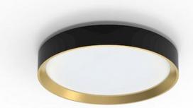 Ceiling luminaire Hanno, 24 W, 4000K, 2800lm, black 929004115901 | 8720169301351