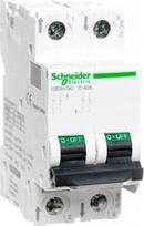 Automatinis jungiklis Acti9 Ic60h, 6a, 2p, B charakteristika