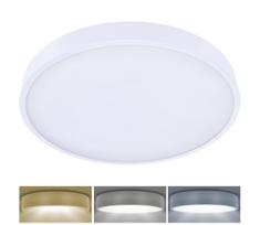 Brilagi-LED Dimeriuojamas šviestuvas POOL SMART LED/60W/230V 50 cm Wi-Fi Tuya+nuotolinis pultas baltas