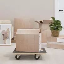 Transportavimo vežimėliai, 2vnt., 50x35x11,5cm, stačiakampiai