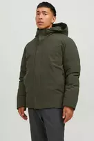 Žieminė striukė Jack & Jones