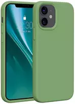 Dėklas Telforceone Etteri Silicone Apple iPhone 12 / 12 Pro 6,1' šviesiai žalios spalvos