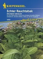 Tabako sėklos 50 sėklų Nicotiana tabacum
