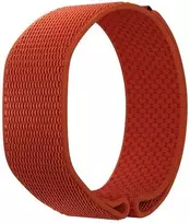 POLAR WB LOOP GEN2 ORA S-L