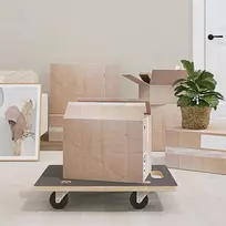 Transporto vežimėlis 6 pcs Pilka fanera