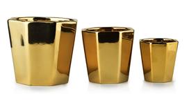 „Neva Gold Set 3 Pots XL“: 16xh14/L: 12,5xh12/m: 8,5h9cm puodai