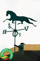 Vėjarodis ,,Mustangas"
