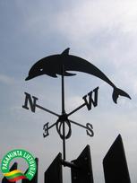 Vėjarodis "Delfinas"