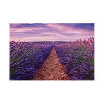 Floral Dandelion and Lavender Backdrop Tapestry,for Events,Party Banner,Home Decor,Weddings,Photo Booths,Landscape Decor 150*100cm-Unframed