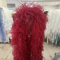 DIY 2Meters 35Ply Thick Ostrich Feather Boa 1/3/6/10Ply for Sewing Skirt Fringed Wedding Carnival Party Dress Accessories Decoration 1ply 2meters bordinė