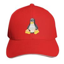 Linux Logo Cap Fashion Casual Baseball Caps Adjustable Hat Hip Hop Summer Unisex Baseball Hats One Size