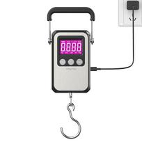 Rankinė Mini Elektroninė Įkraunama Svarstyklė Žvejybai Kelionėms Bagažui 60Kg/10g LCD Skaitmeninis Ekranas Pakabinama Svarstyklė