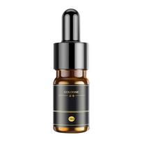 Stilingas oro segtukas kūrybingam difuzoriaus oro ventiliacijai Juokingi automobilio priedai, suvenyras Refill 10ML Cologne gray