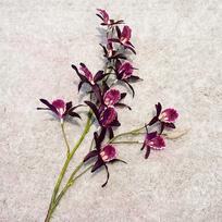 2 Fork Simulation Orchids Realistic Fake Flowers Artificial Dendrobium Branch  Wedding Party Decor vyno raudonos spalvos