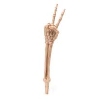Helovino skeletas, įsmeigiamas į žemę, dekoracija, realistiško skeleto kaulų dizainas, lengvai montuojama, šiurpi ranka su vejos kuoliukais A