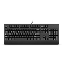 Klaviatūra Lenovo 4Y41R64619 laidinė USB QWERTY Plunger juoda