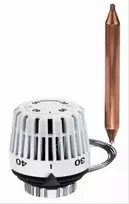 Imi Heimeier Termostatinė galva Heimeier, K 20-50 2m