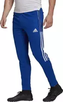 Sportinės kelnės vyrams Adidas Tiro 21 Training M GJ9870, mėlynos