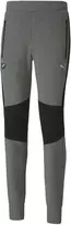 Puma Kelnės Vyrams Bmw Mms Sweat Pants Pilkas 598002 03