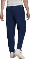 Sportinės kelnės vyrams Adidas Entrada 22 Pre Panty M HB5329, mėlynos