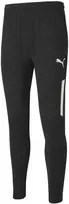 Puma Kelnės Vyrams Teamliga Training Pants Juodas 657332 03