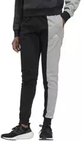 Adidas Kelnės Moterims W Cb Ft Pant Pilkas Juodas HC8832