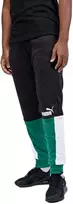 Puma Sportinės Kelnės Vyrams Ess+ Block Sweatpants Juodas Baltas Žalias 848007 37