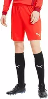 Puma Futbolo Šortai Vyrams TeamGoal 23 Knit Shorts Raudona 704262 01