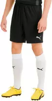 Puma Futbolo Šortai Vyrams TeamGoal 23 Knit Shorts Juodas 704262 03