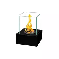 BIOHEAT MINI Juodas pastatomas stalinis biožidinys