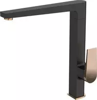 Virtuvinis maišytuvas Invena Midnight BZ-35-014-V, auk/juod