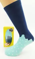 Kojinės vyrams Popsicle socks, 42-47
