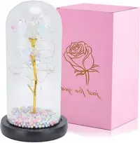 Extralink Pradžia | Amžina rožė stikle | baltas LED