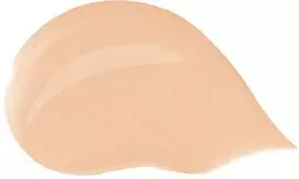 Dolce & Gabbana Hydrating tinted cream (Blueberry Nutri-Tint) 30 ml 6W