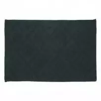 Vonios kilimėlis Sealskin Bathmat, 60x90 cm, tamsiai žalias