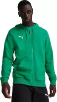 Puma Džemperis Vyrams TeamGoal Casuals Hooded Žalias 658595 05