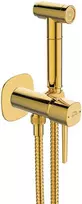 Bidė dušelio komplektas Laveo Pola, Gold