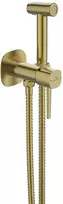 Bidė dušelio komplektas Laveo Pola, Brushed Gold