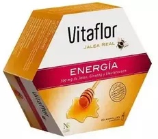 Vitaflor Bičių pienelis Energija 20 vnt. 200ml