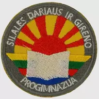 Šilalės Dariaus ir Girėno progimnazijos emblema, EMBLEMA: Emblema