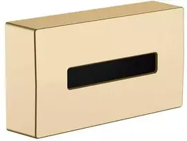 salvešu kaste AddStoris, stiprināma pie sienas, brushed bronze