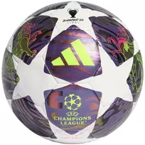Futbolo kamuolys adidas UCL 25/26 Final Pro Sala violetinė-balta JX9102 (FUTS)