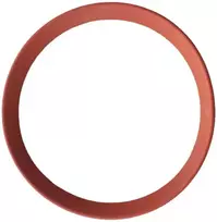 Ricomgas Kamino tarpinė DN100