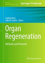 Organ Regeneration: Methods and Protocols
