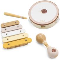 Muzikos instrumentų rinkinys su ežiuku VIGA PolarB