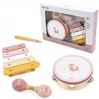 Muzikos instrumentų rinkinys, rožinis VIGA PolarB